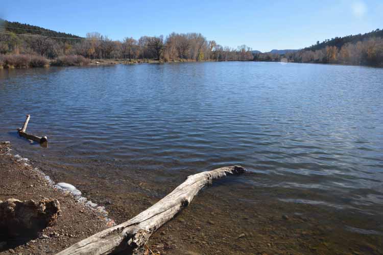 lake scene